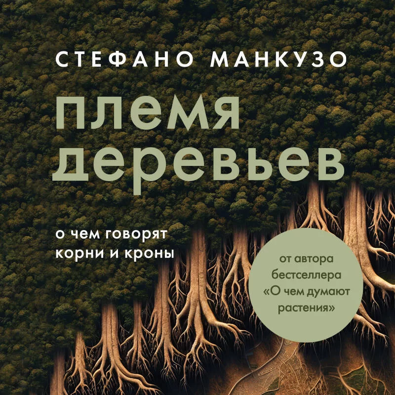 Племя деревьев. О чем говорят корни и кроны