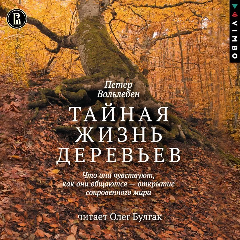 Тайная жизнь деревьев. Что они чувствуют, как они общаются – открытие сокровенного мира